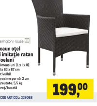 Tarrington House Scaun oțel și imitație ratan Noelani 58 x 63 x 87 cm