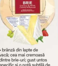 ILE DE FRANCE Brânză Brie