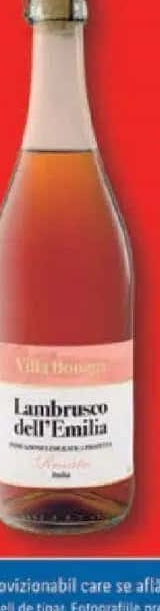 BONAGA Lambrusco dell'Emilia Vin petiant rose 0,75 L