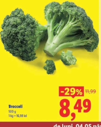 Broccoli 500 g