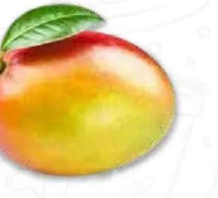 Mango Ready To Eat