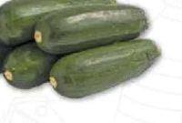 Dovlecel zucchini verde