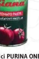 Pastă de tomate GIANA 140 g