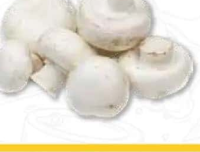 Ciuperci Champignon