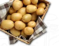 Cartofi pentru copt 2.5 kg