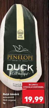 PENELOPE Premium Duck Rață tânără eviscerată fără organe kg