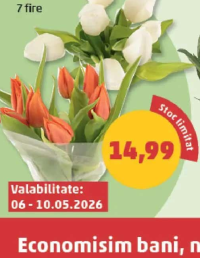 Lalele buchet 7 fire