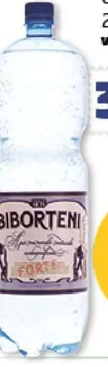 Biborțeni Apă minerală carbogazificată forte 2 l