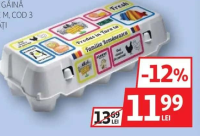 ALBERT OUĂ DE GĂINĂ MĂRIME M, COD 3 10 BUCĂȚI
