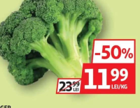 BROCCOLI