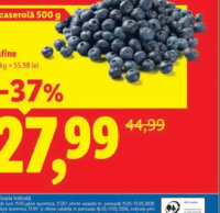 Afine caserolă 500 g