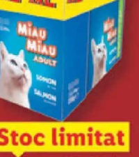 Miau Miau Hrană umedă pisici 12 x 100 g