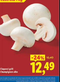 Ciuperci grill Champignon albe caserolă 1 kg