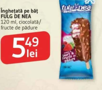 Înghețată pe băț FULG DE NEA 120 ml, ciocolată/ fructe de pădure
