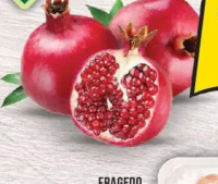 Grădina Mega Rodii bucată, cal. I, import