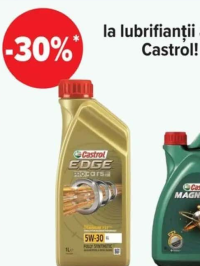 Victor Curver Coș rufe 40 L