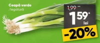 Recolta Profi Ceapă verde /legătură