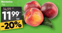 Nectarine /kg