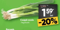 Ceapă verde /legătură