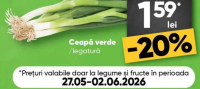 Recolta Profi Ceapă verde /legătură