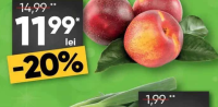 Recolta Profi Nectarine /kg