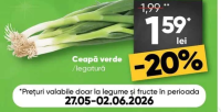 recolta profi Ceapă verde /legătură