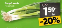 Ceapă verde /legatură