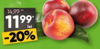 Nectarine /kg