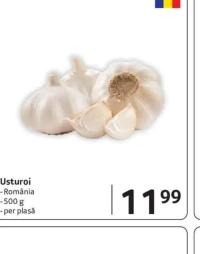 Usturoi România 500 g per plasă