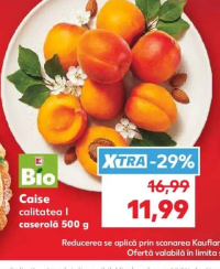 Bio Caise calitatea I caserolă 500 g