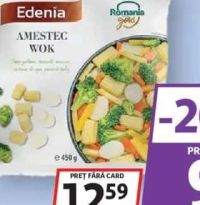EDENIA AMESTEC WOK 450G