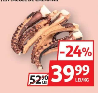 Tentacule de calamar