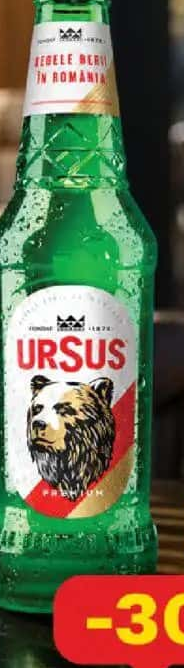 URSUS Bere sticlă 0.33 L SGR