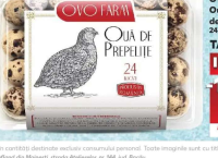 Ovo Farm Ouă de prepeliță 24 bucăți