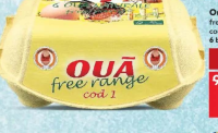 Ouă M free range cod 1 6 bucăți
