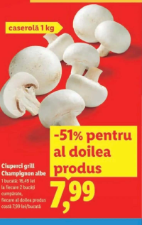 Ciuperci grill Champignon albe caserolă 1 kg