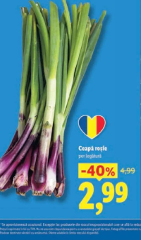 Ceapă roșie per legătură