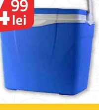 Ladă frigorifică PASIVA 24 L