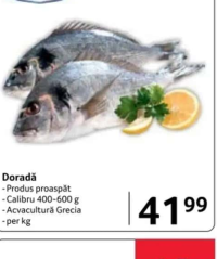 SELGROS Doradă proaspătă Calibru 400-600 g per kg