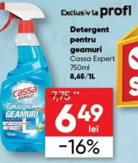 Cassa Expert Detergent pentru geamuri 750ml