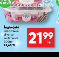 Dream&CO Înghețată diverse sortimente 900ml