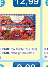 JÉGTRADE mix fructe roșii 300g