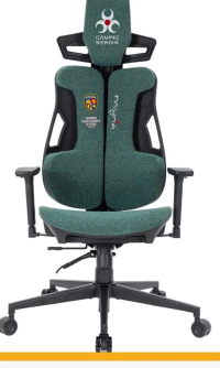MYRIA Scaun Gaming Echipa Nationala de Fotbal MG7423FRF, negru-verde