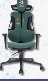 MYRIA Scaun Gaming Echipa Nationala de Fotbal MG7423FRF, negru-verde