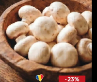 Ciuperci Champignon albe calitatea I caserolă 500g