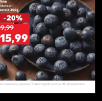 Afine calitatea I caserola 300g