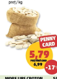 FASOLE ALBĂ