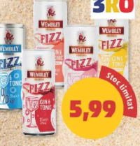 Wembley Fizz Gin & Tonic diverse sortimente 250 ml