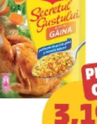 MAGGI SECRETUL GUSTULUI GĂINĂ 75 g