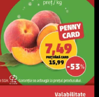 Piersici